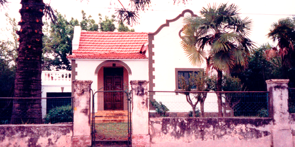 1994